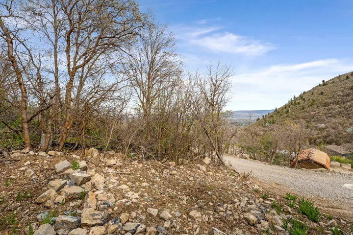 Rocky terrain with sparse vegetation and a gravel road