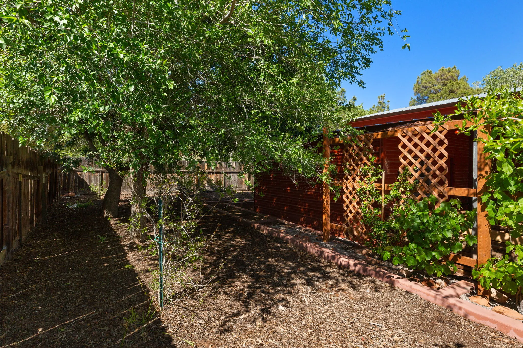 Expansive side yard featuring mature trees, a wooden privacy fence, a lattice-paneled structure, and a red brick border