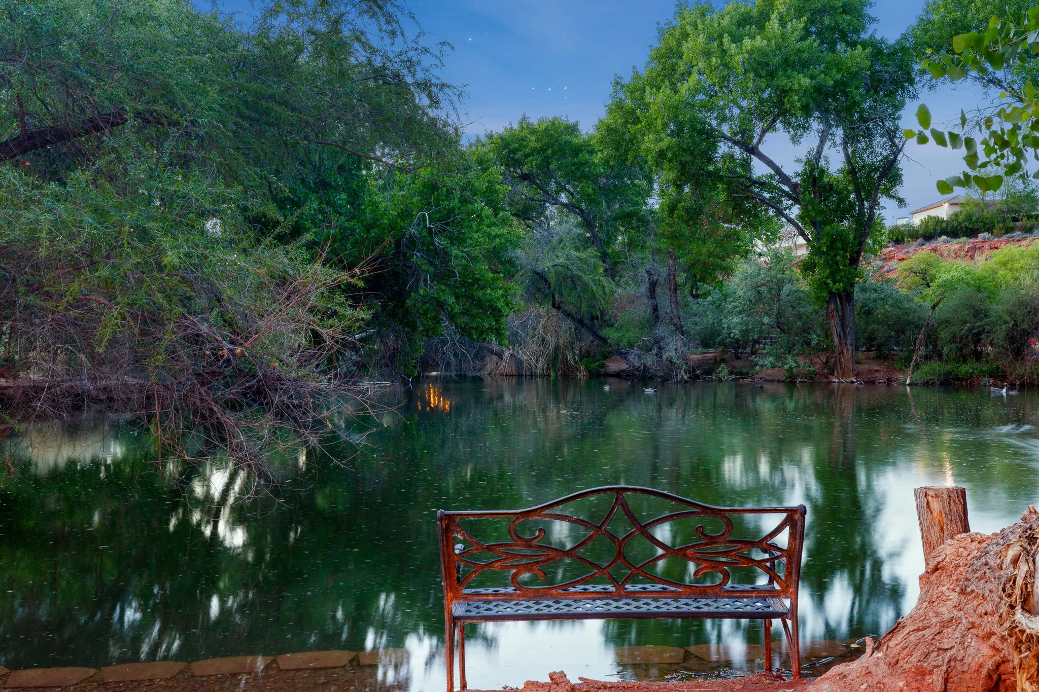 Serene waterfront setting featuring lush mature trees, reflective water, and a decorative metal bench