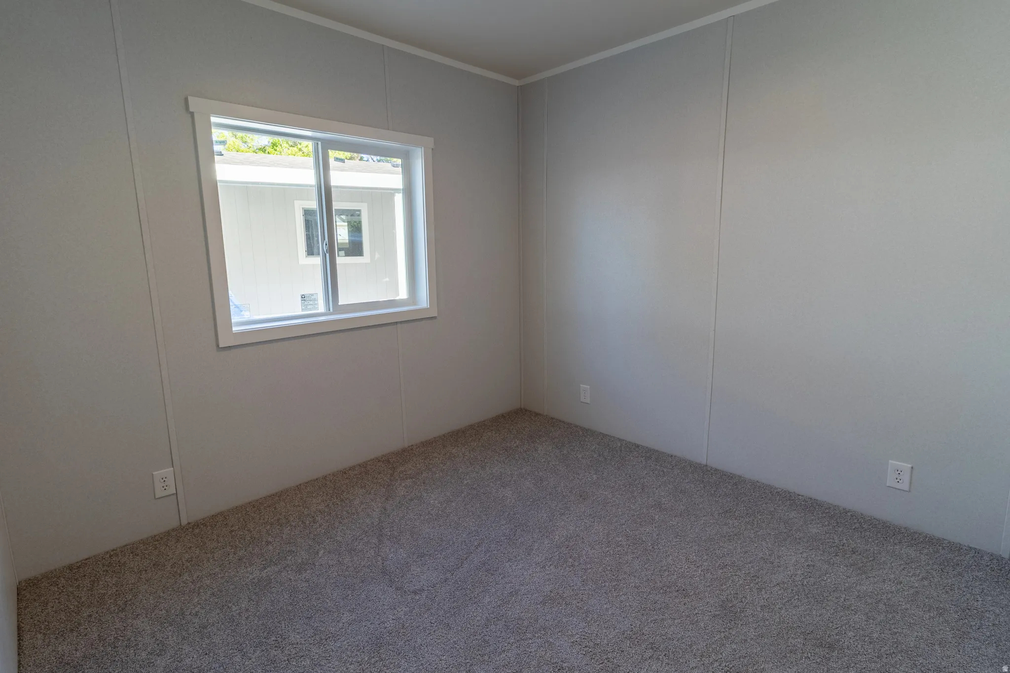 Carpeted room featuring light gray panel walls and white trim