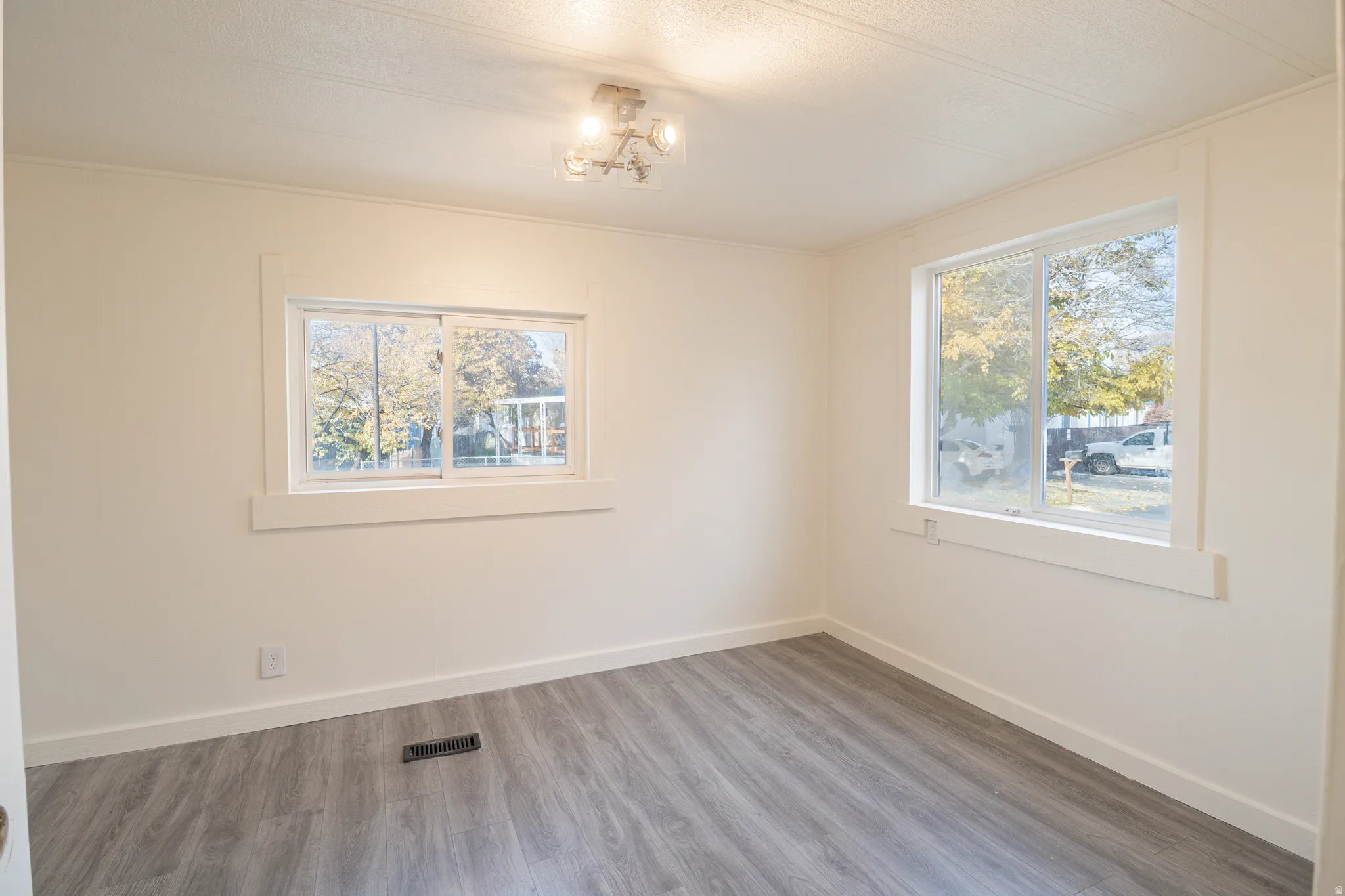 Spacious room featuring light-colored walls, wood-finish flooring, two windows with white trim, and an overhead flush-mount light fixture
