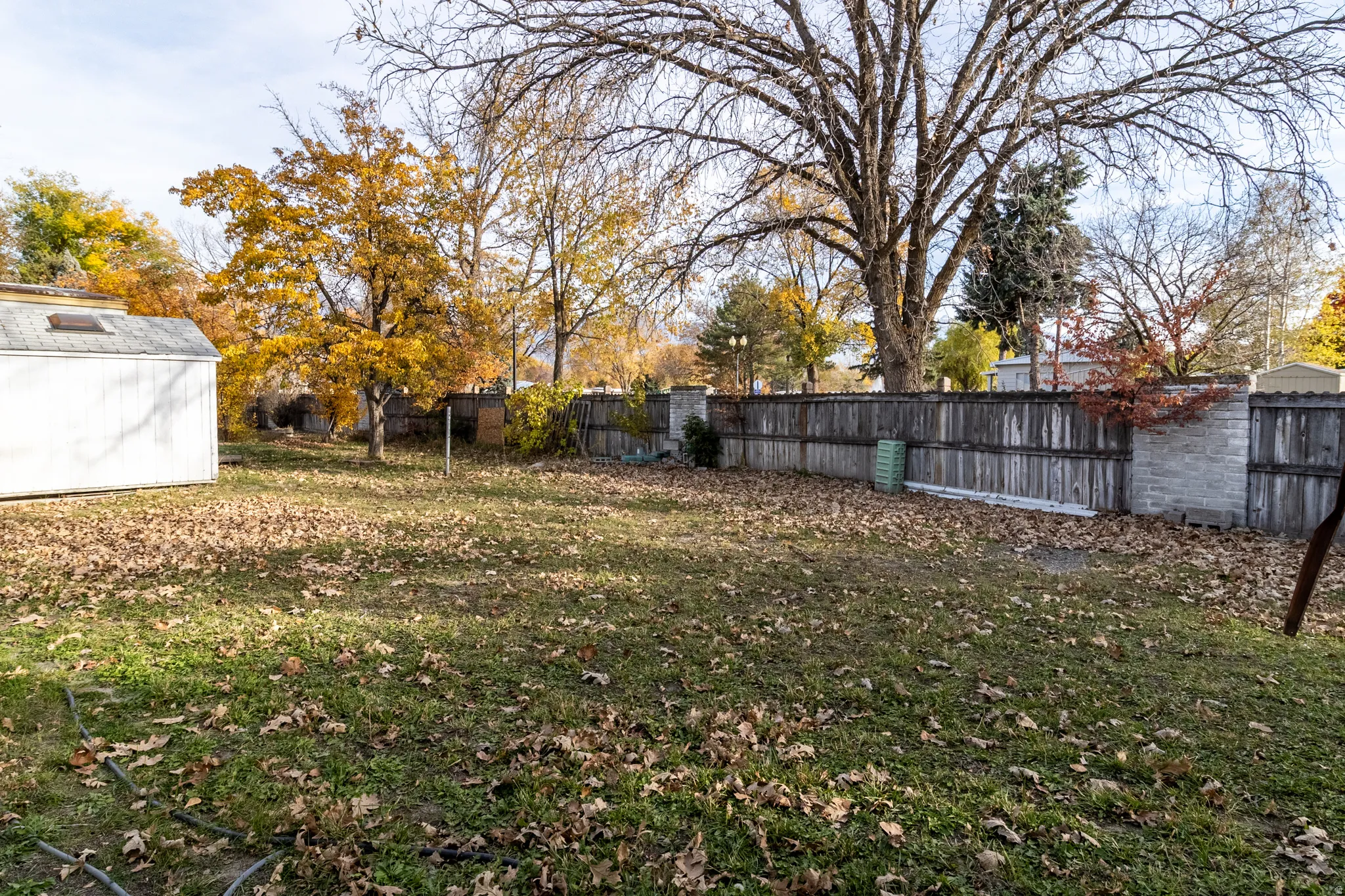 Spacious backyard featuring a white storage shed with a skylight, a wood privacy fence with stone pillars, and mature trees providing natural screening