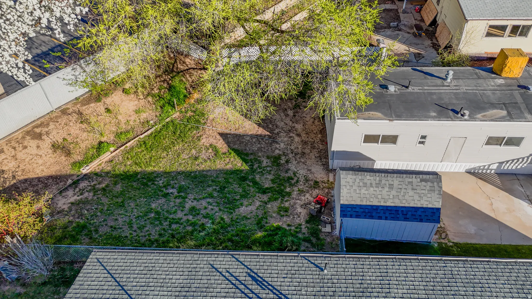 Spacious backyard with mature tree, an auxiliary building with a flat roof, a blue and gray shed, and a privacy fence