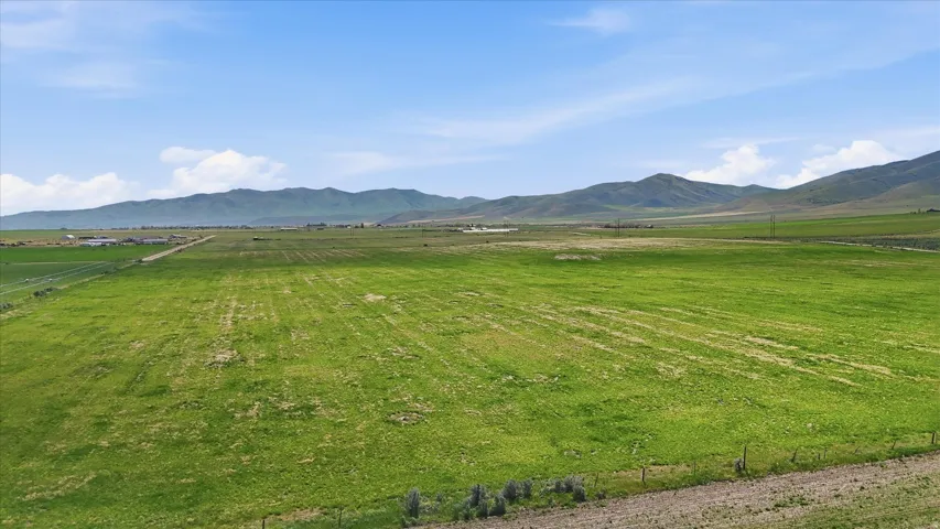 Expansive green acreage featuring distant mountain ranges