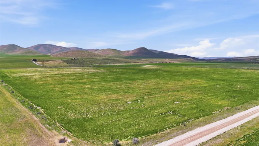 Expansive green fields extending towards distant hills under a clear sky