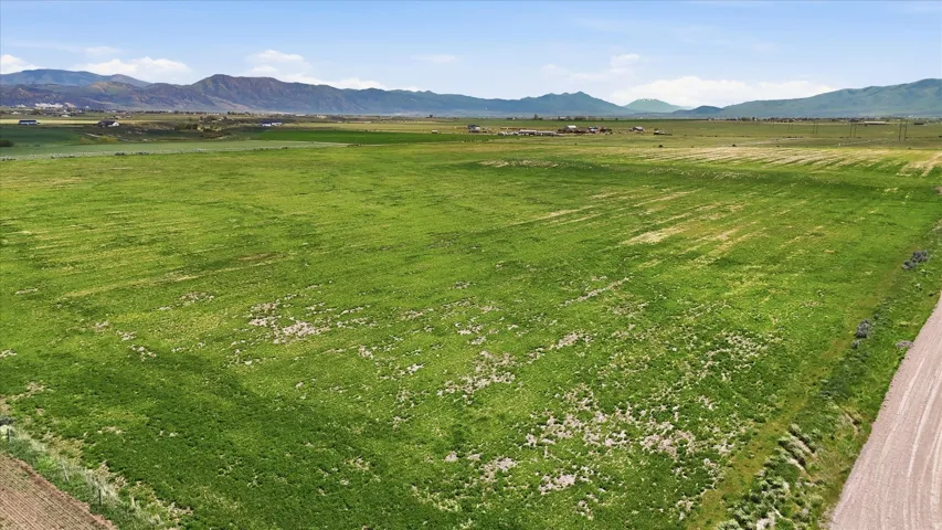 Expansive rural property featuring a vast green field and a gravel road along the perimeter
