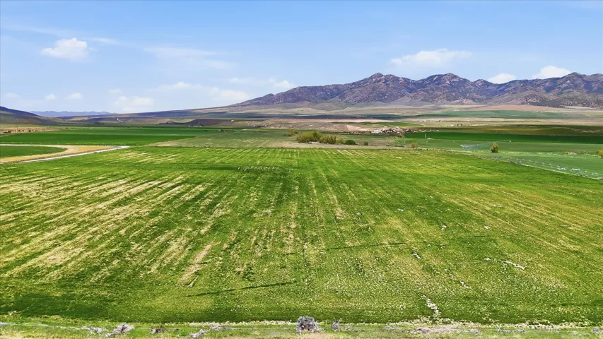 Expansive green fields with distant mountains under a blue sky
