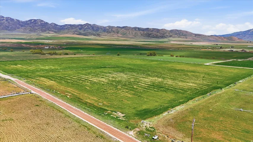 Expansive agricultural land featuring a verdant field and a dirt road