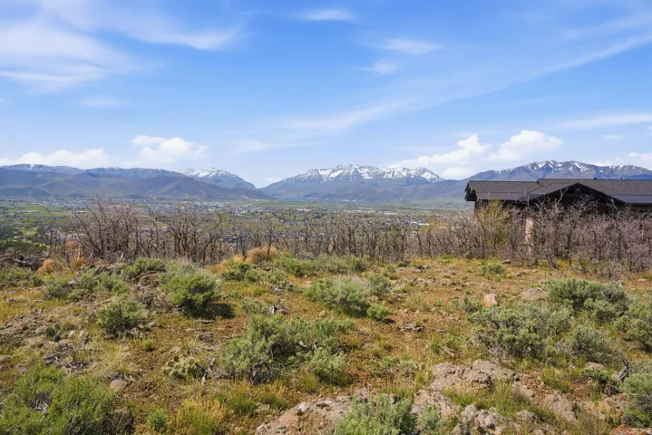 View of mountain background