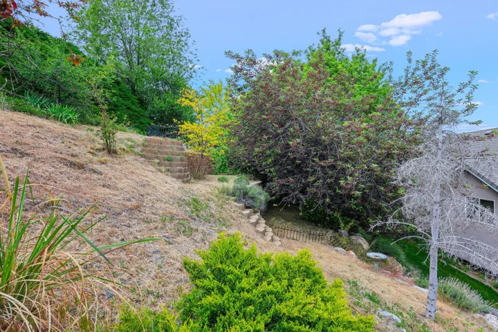 Terraced hillside yard featuring established plantings, stone steps, and a variety of mature trees
