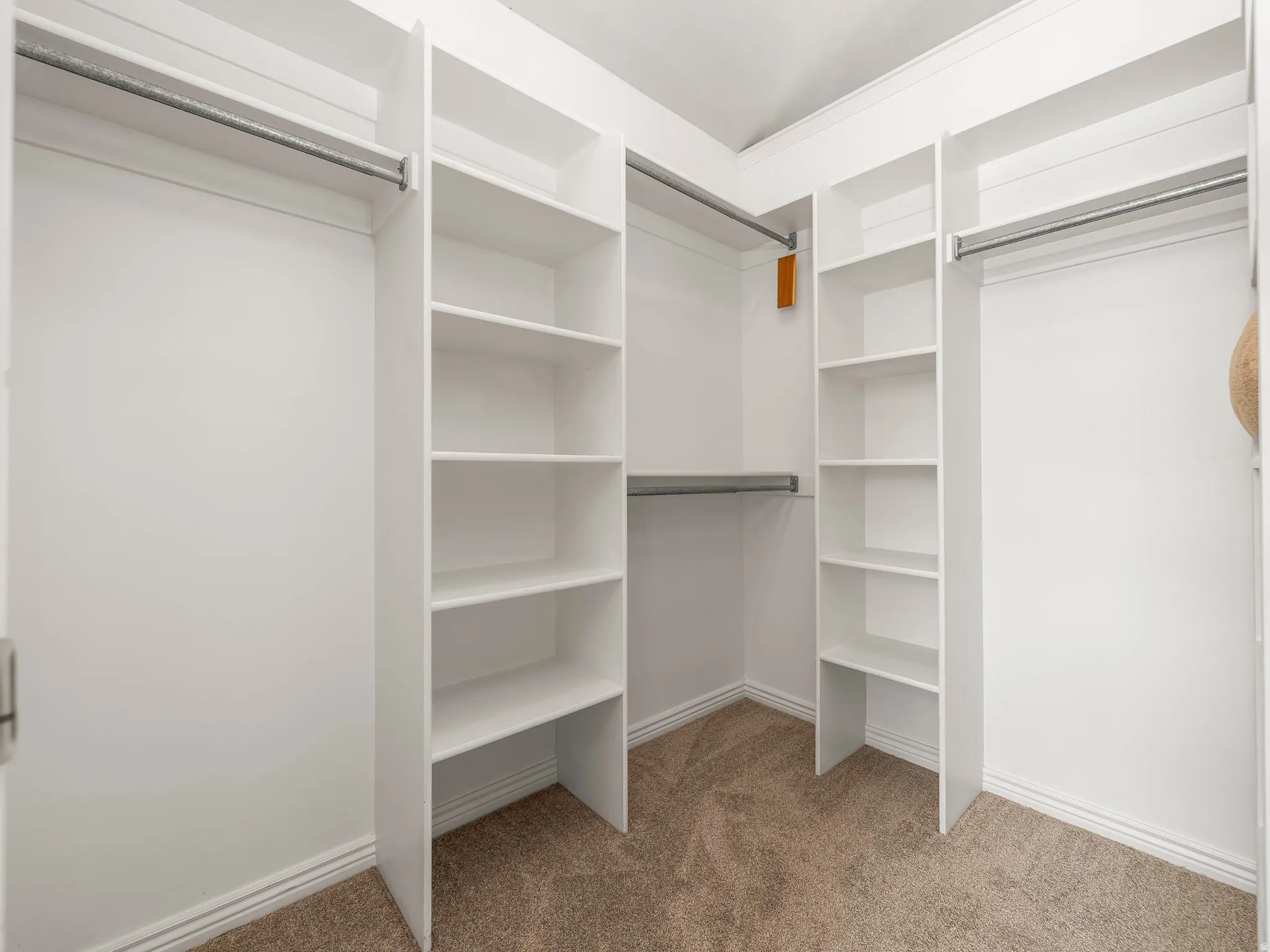 Walk-in closet featuring white built-in shelving, multiple hanging rods, and neutral carpet flooring