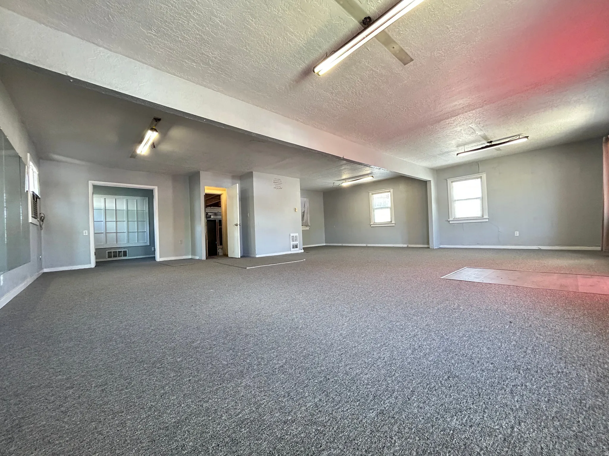 Spacious room featuring gray carpeting, multiple windows, and fluorescent lighting fixtures