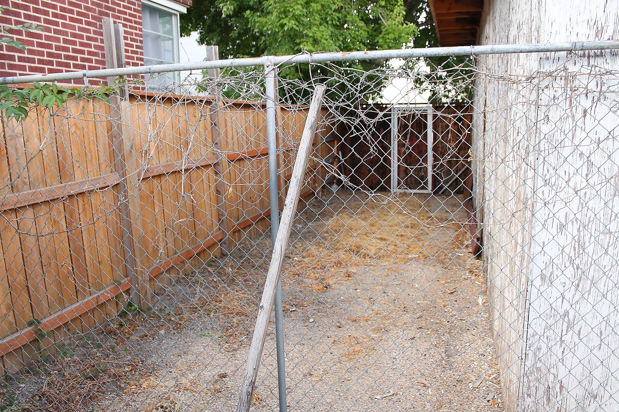 Chain-link fence with a wooden privacy fence background