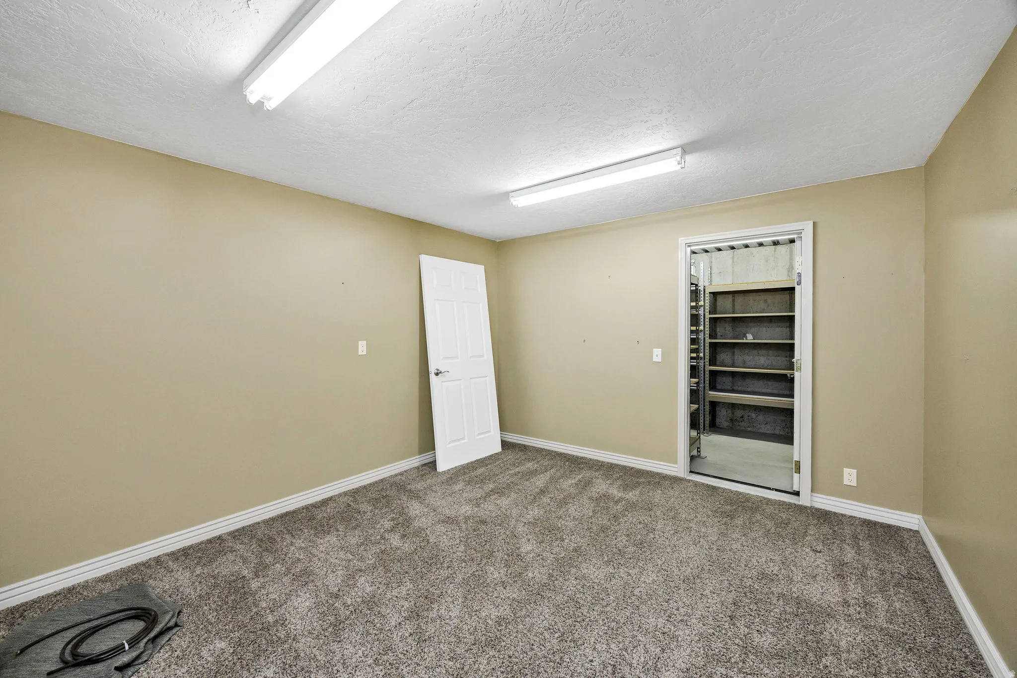 Carpeted room with neutral wall paint and white trim