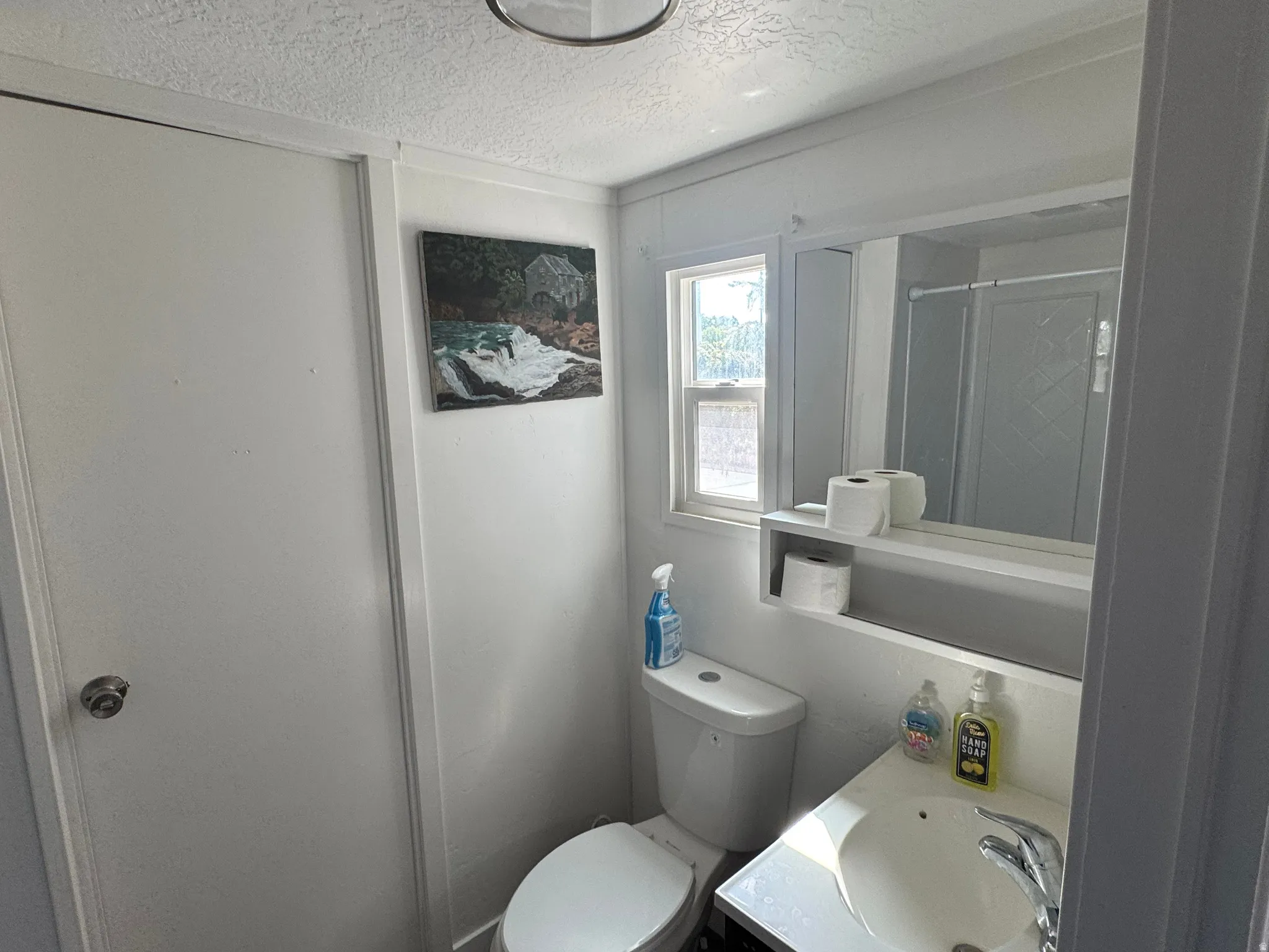 Bathroom featuring a toilet, single vanity with sink, mirror with integrated shelf, and a window providing natural light