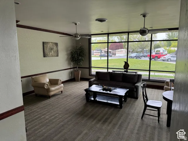 Spacious common area featuring full-height windows, patterned carpet flooring, and two ceiling fans
