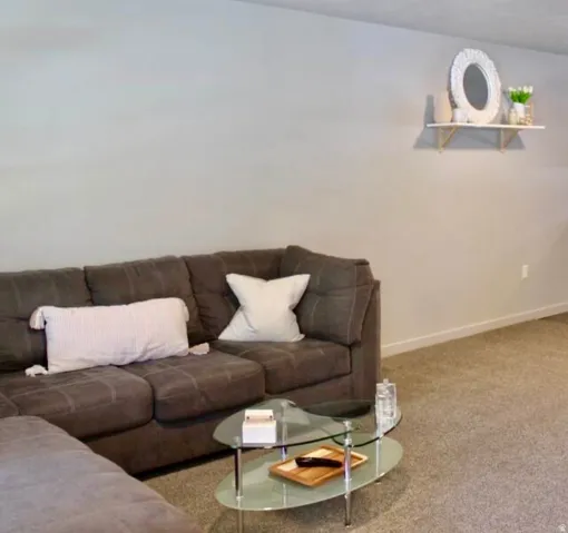 Plush carpeting complements neutral wall tones in this living space
