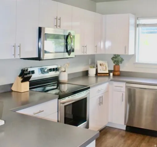 Modern kitchen featuring white flat-panel cabinetry and stainless steel appliances