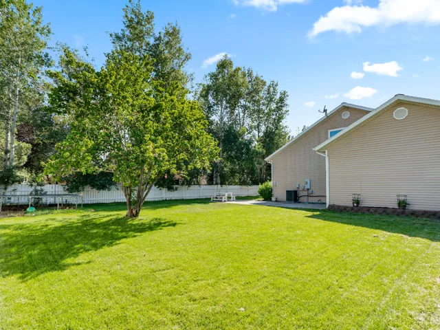 Expansive green lawn with a mature tree