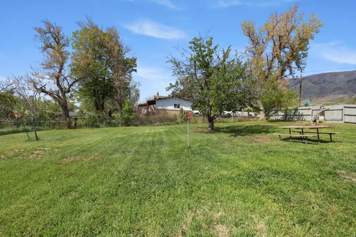 Expansive green lawn featuring mature trees and a picnic table