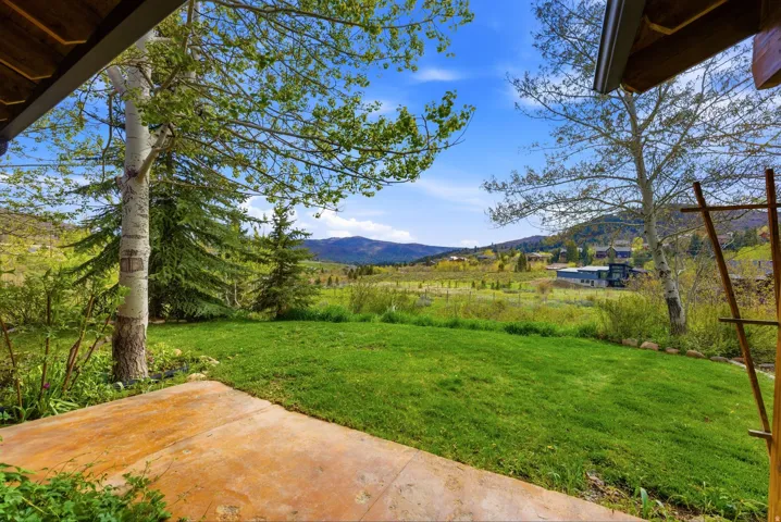 Concrete patio opening to a lush green lawn