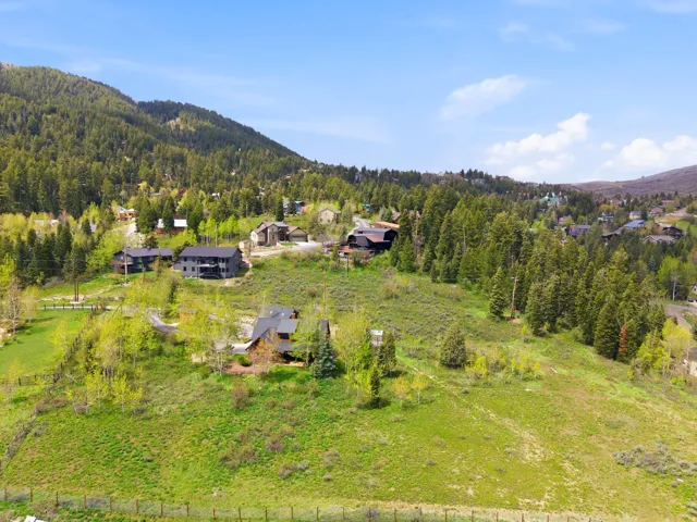 Expansive sloped property featuring a lush green landscape and mature evergreen trees
