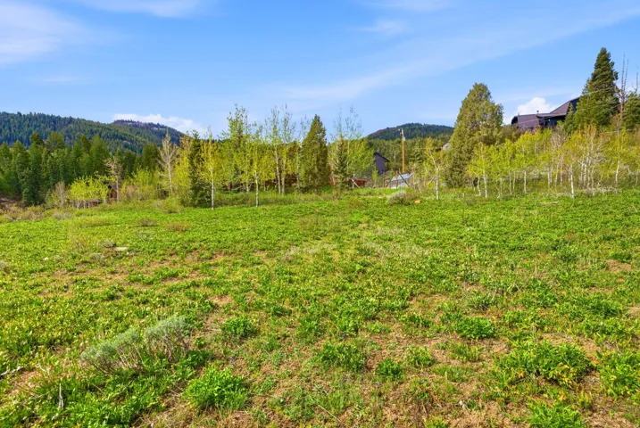 Expansive, gently sloping lot featuring natural grass and scattered low-lying vegetation