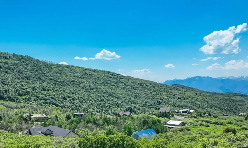 Expansive natural landscape featuring lush green hillsides and distant mountains