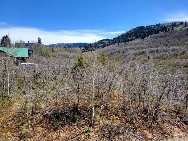 Expansive wooded landscape with distant mountain ranges and scattered residential structures