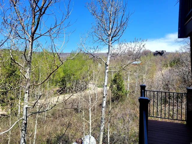 Expansive mountain landscape with mature trees from a private deck featuring dark composite decking and black metal railings