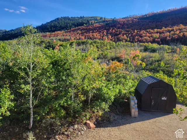 Black storage shed with double doors, set on a gravel pad, surrounded by mature trees