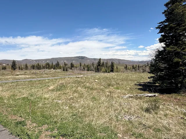 Expansive undeveloped land featuring natural terrain with varied grasses and a scattered tree line