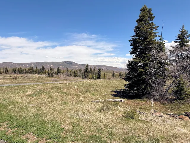 Expansive open land with natural ground cover, mature evergreen trees, and distant mountain ranges under a clear sky