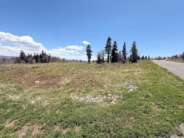 Expansive lot featuring a natural grassy terrain with scattered mature pine trees