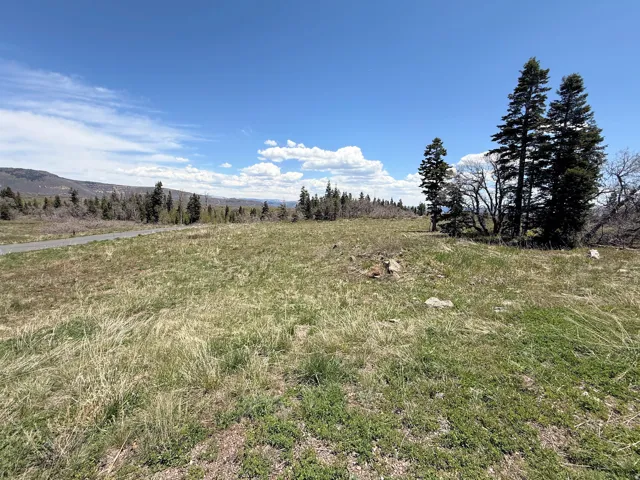 Expansive open land featuring diverse natural vegetation and distant mountain ranges