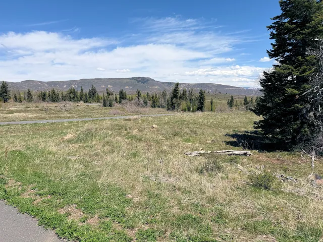 Expansive open land with a backdrop of distant mountains