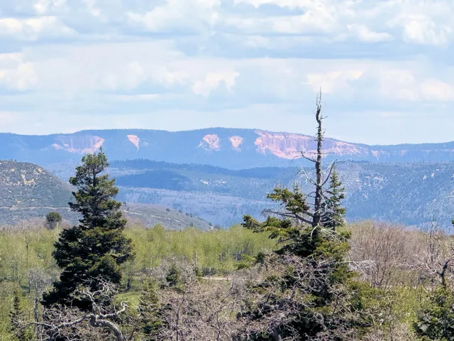 Expansive mountain range backdrop featuring visible rock formations and extensive tree cover