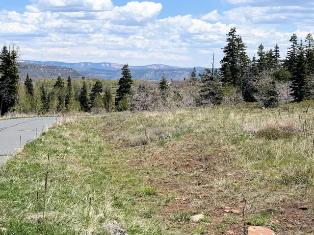 Expansive lot featuring natural grasses, mature evergreen trees, and distant mountainous terrain