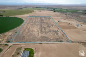 Expansive undeveloped land parcel with marked boundaries