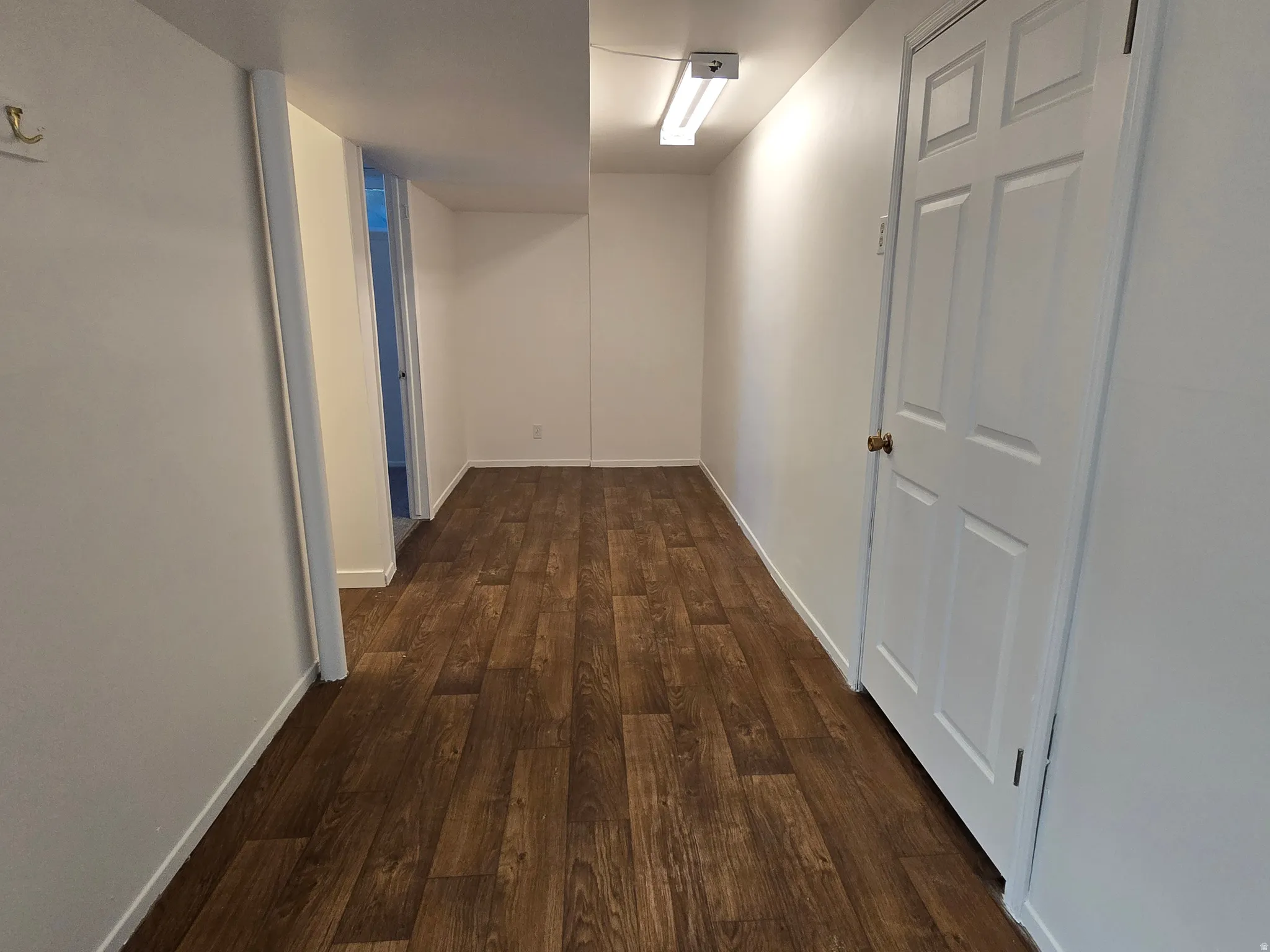Wood-finish flooring with white baseboards, a white paneled door, and a flush-mount ceiling light