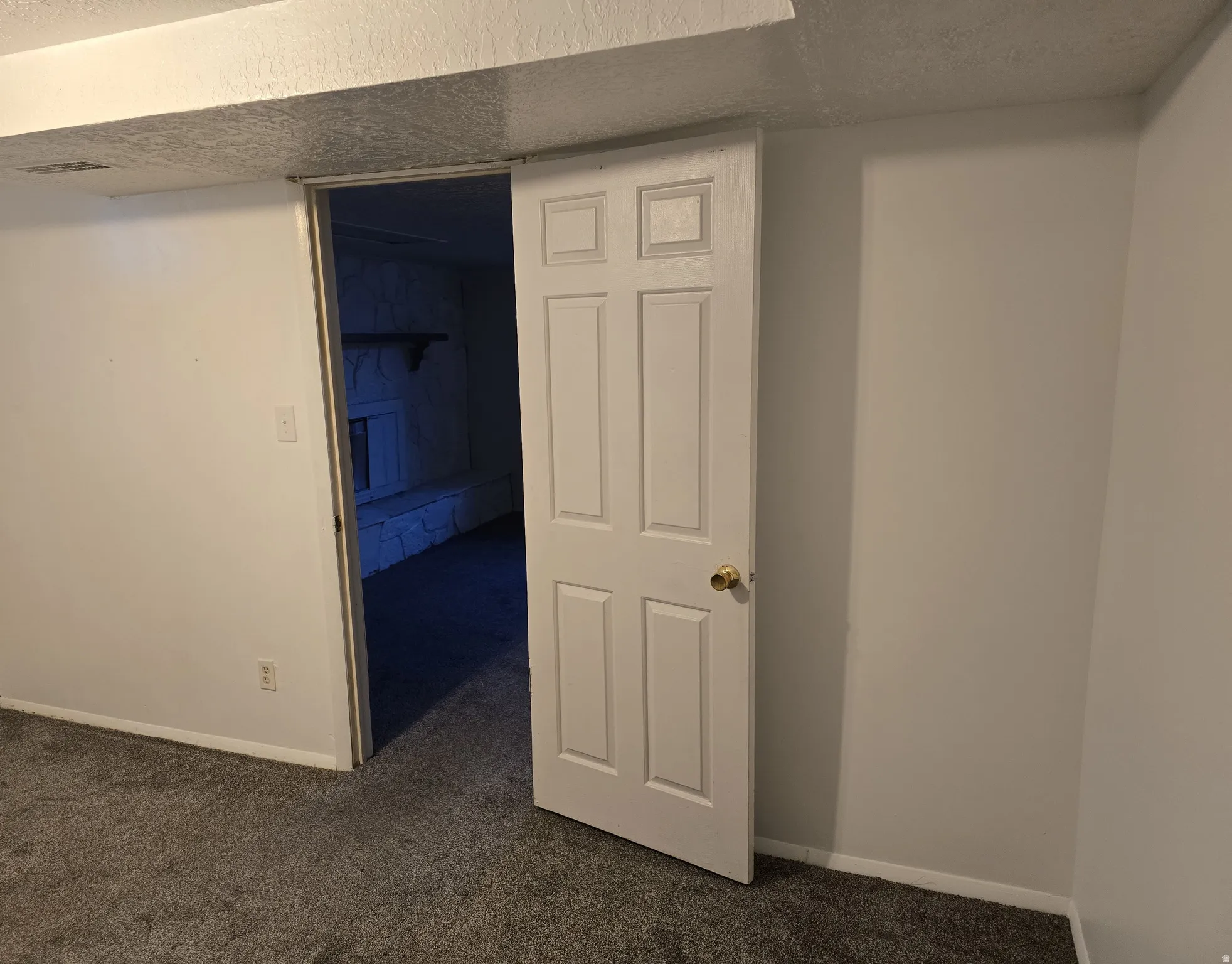 Interior room featuring neutral wall paint, gray carpet, a white paneled door with a brass knob, and white trim