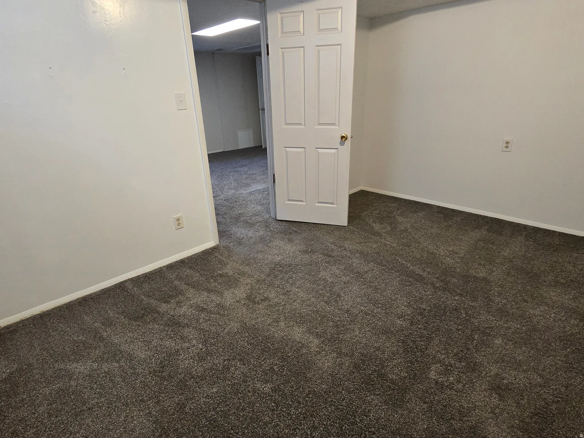 Neutral tone wall paint, paneled interior door, and textured carpet flooring