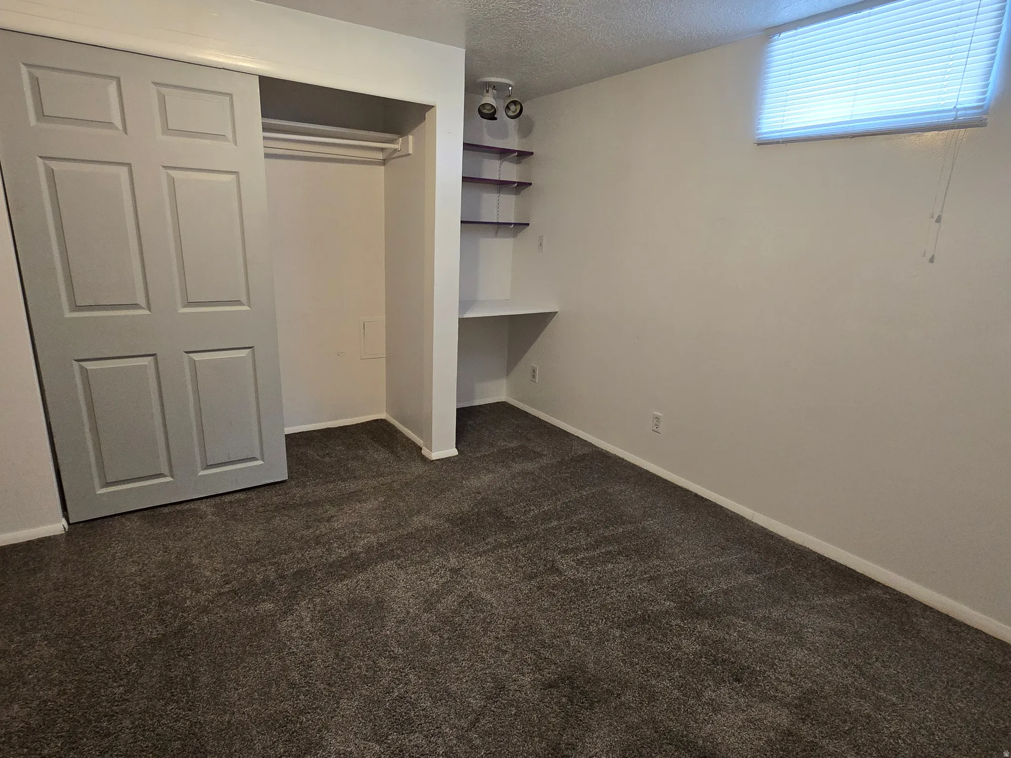 Gray plush carpeting, built-in shelving, track lighting, and a sliding door closet
