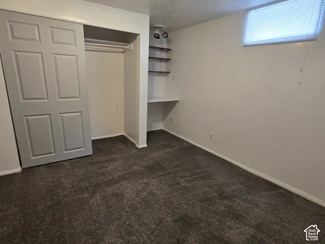 Gray plush carpeting, built-in shelving, track lighting, and a sliding door closet