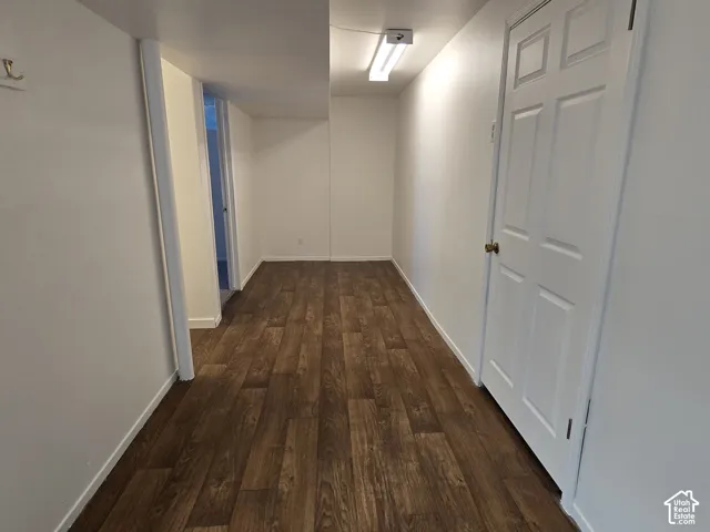 Wood-finish flooring with white baseboards, a white paneled door, and a flush-mount ceiling light