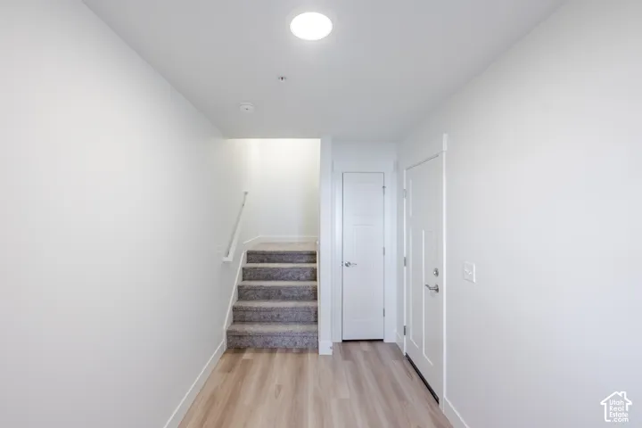 Wood-finish flooring, carpeted staircase, white interior door with three-panel design, interior hallway, overhead lighting fixture