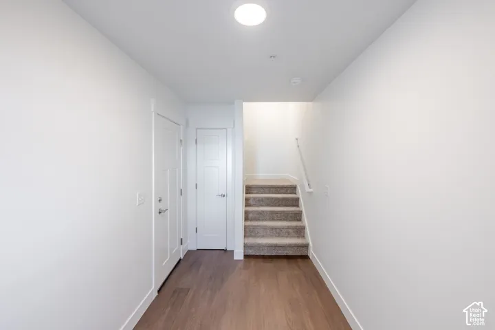 Wood-finish flooring, white doors with modern hardware, and a carpeted staircase with a white handrail