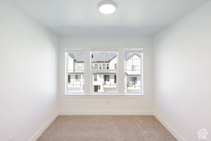 Triple window configuration with neutral blinds, flush-mount ceiling light fixture, and plush carpet flooring