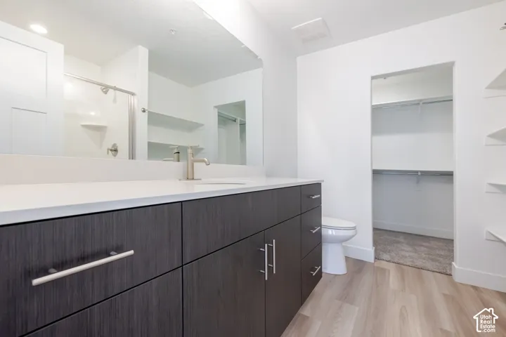 Dark-finish cabinetry with silver-tone pulls, quartz countertop, undermount sink, expansive frameless mirror, and walk-in closet with built-in shelving
