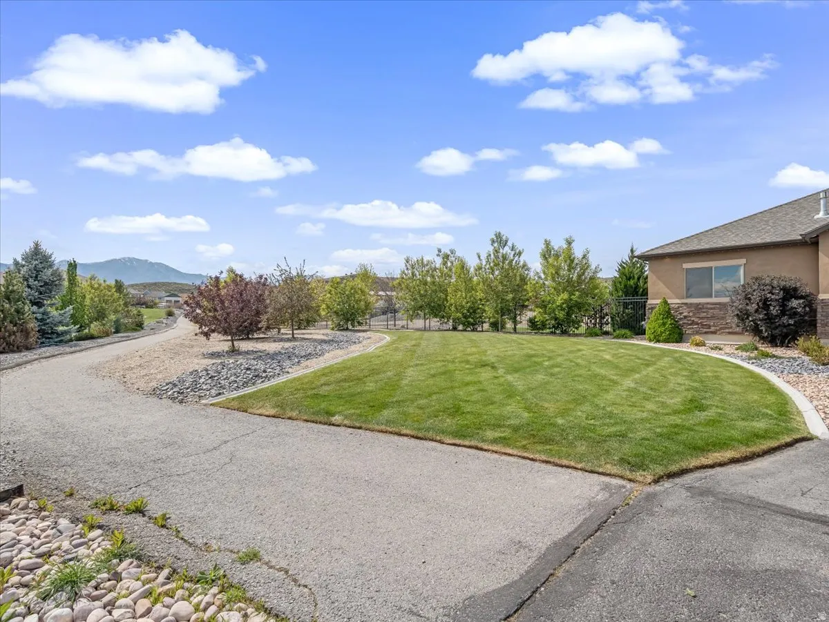 Expansive lawn with mature trees and a gravel driveway